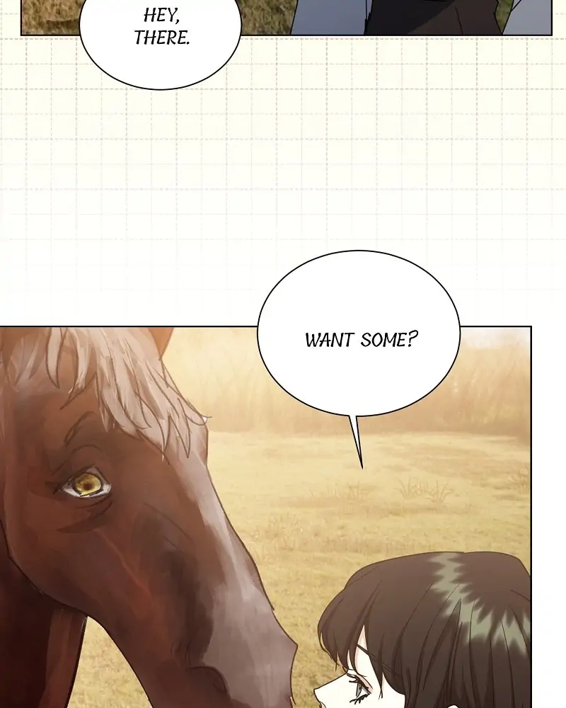 34348501 800 1000 34462